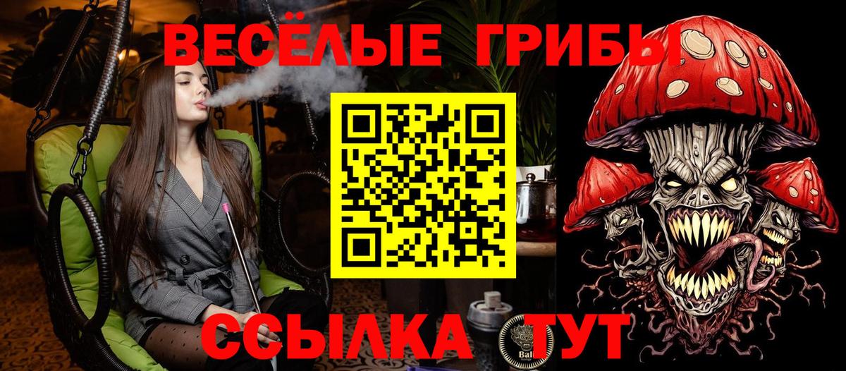 Галлюциногенные грибы Psilocybe  Галлюциногенные грибы GOLDEN TEACHER  Ефремов 