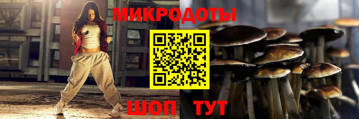 Галлюциногенные грибы ЛСД  Вход с VPN  Ефремов 